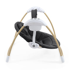 BabyStyle Oyster Swing - Carbonite